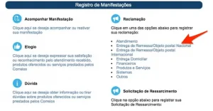 Tela de Registro de Manifestações para realizar uma reclamação